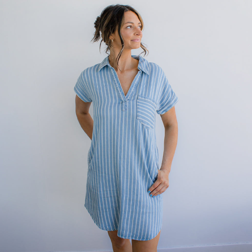 Stripe Chambray Collard Mini Dress