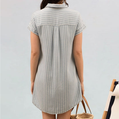 Stripe Chambray Collard Mini Dress