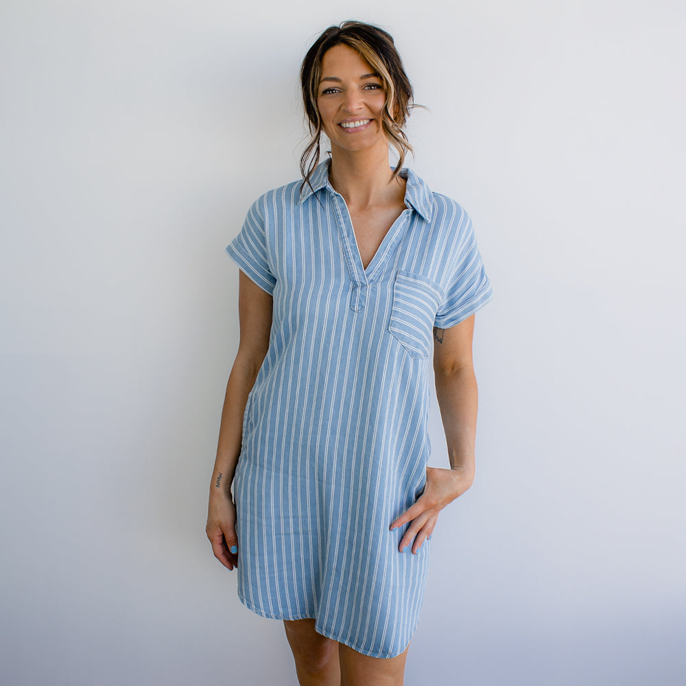 Stripe Chambray Collard Mini Dress