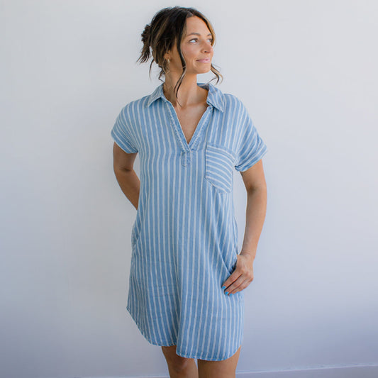 Stripe Chambray Collard Mini Dress